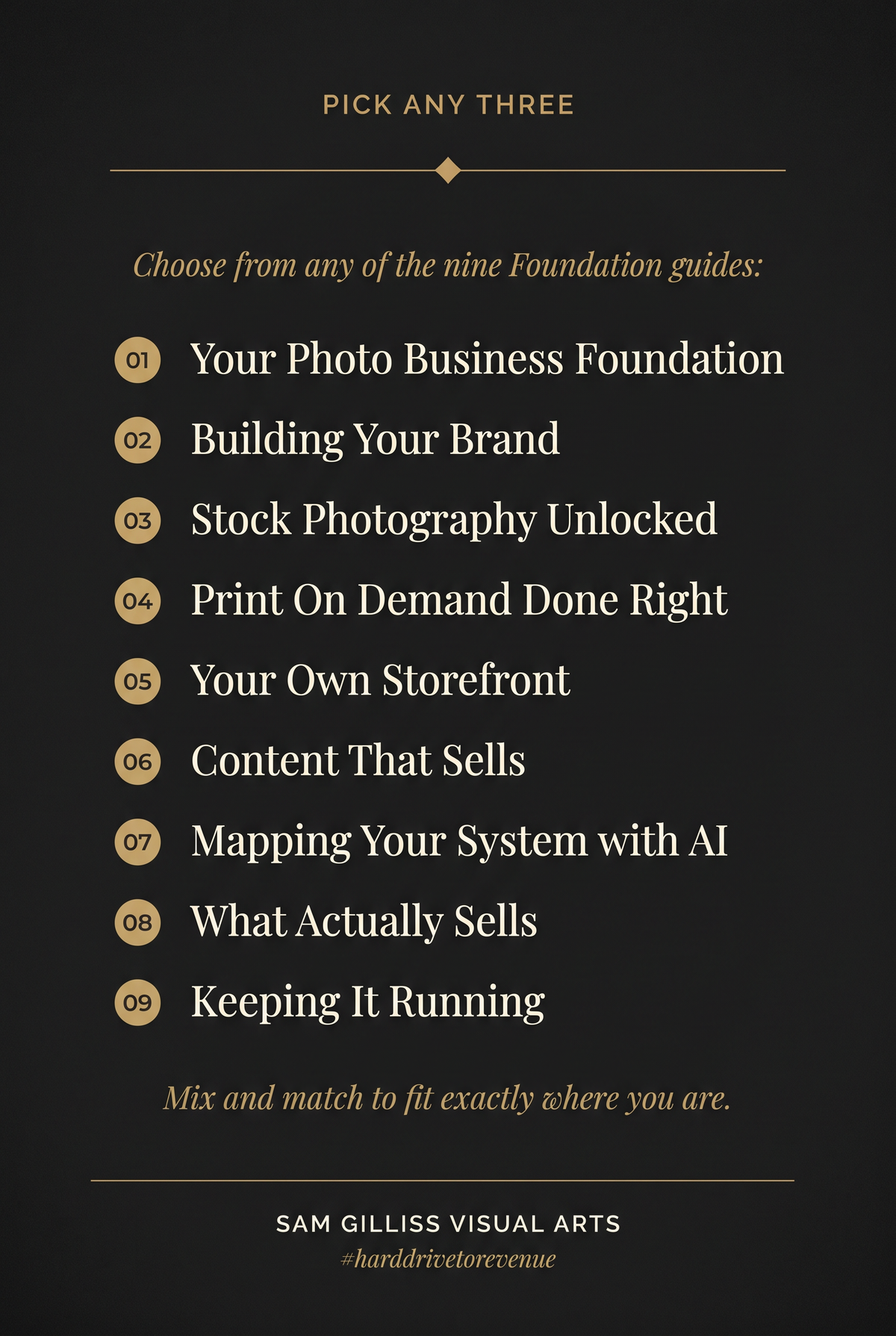 Choose Any 3 Guides - From Hard Drive to Revenue