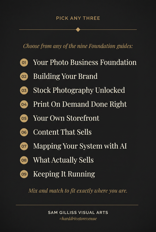 Choose Any 3 Guides - From Hard Drive to Revenue