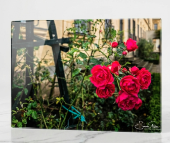 Elegant glass cutting board and placemat featuring the Rosengarten of Bamberg design by Sam Gilliss Visual Arts, with intricate floral patterns.