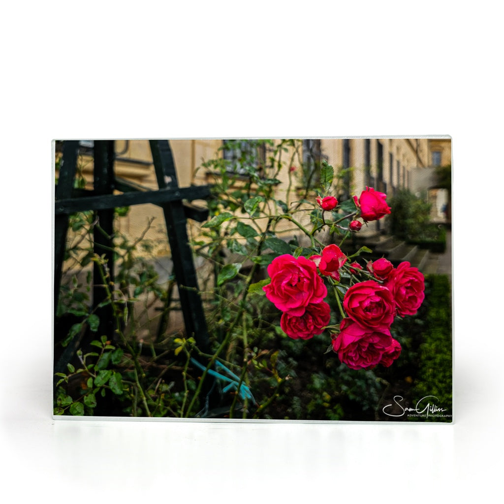 Sam Gilliss Visual Arts Rosengarten of Bamberg tempered glass cutting board and elegant placemat on a table, showcasing intricate floral design.